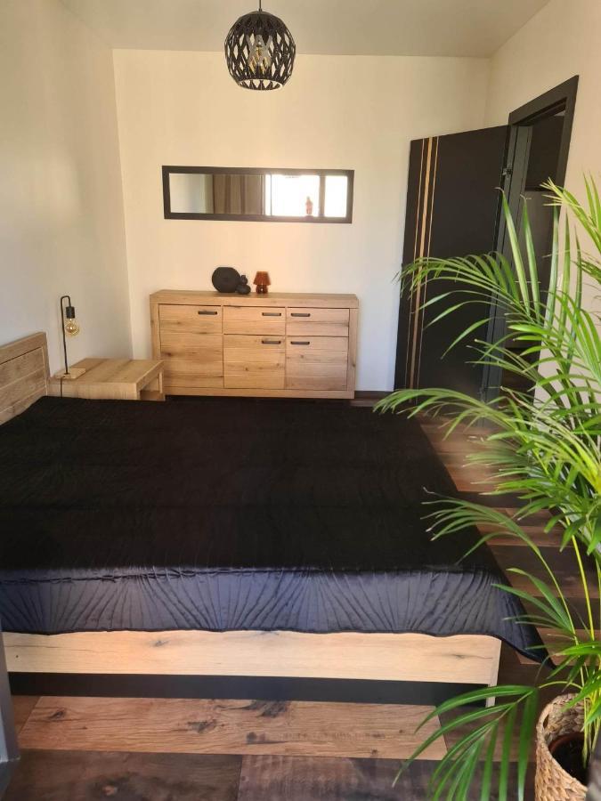 Copper Apartment Free Parking Βρότσλαβ Εξωτερικό φωτογραφία