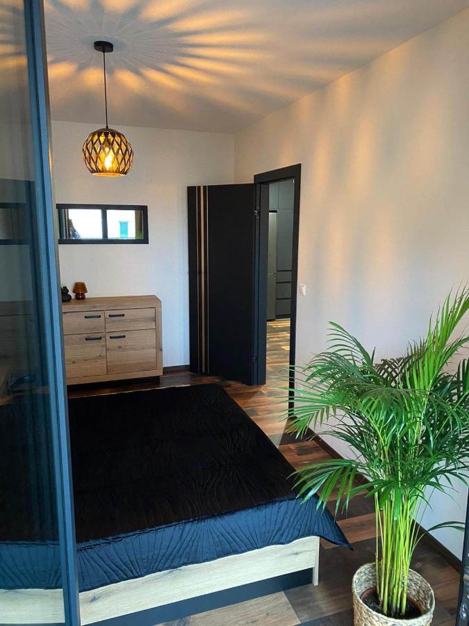 Copper Apartment Free Parking Βρότσλαβ Εξωτερικό φωτογραφία